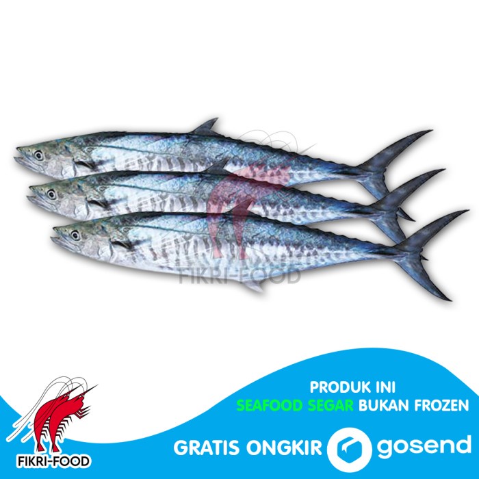 Ikan Tenggiri Segar Fresh isi 3-5 /1kg