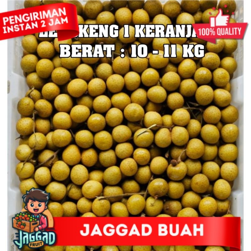 buah lengkeng 1 keranjang klengkeng bangkok GOLD 1 kranjang 11 KG fresh JAGGAD FRUIT