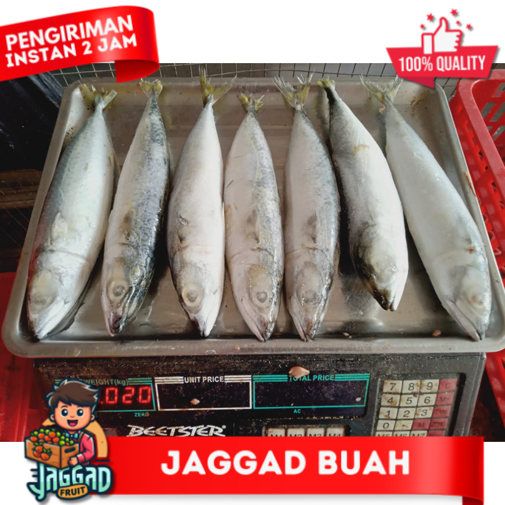 

Ikan salem 1kg/ikan salem murah/ikan laut/seafood JAGGA FRUIT