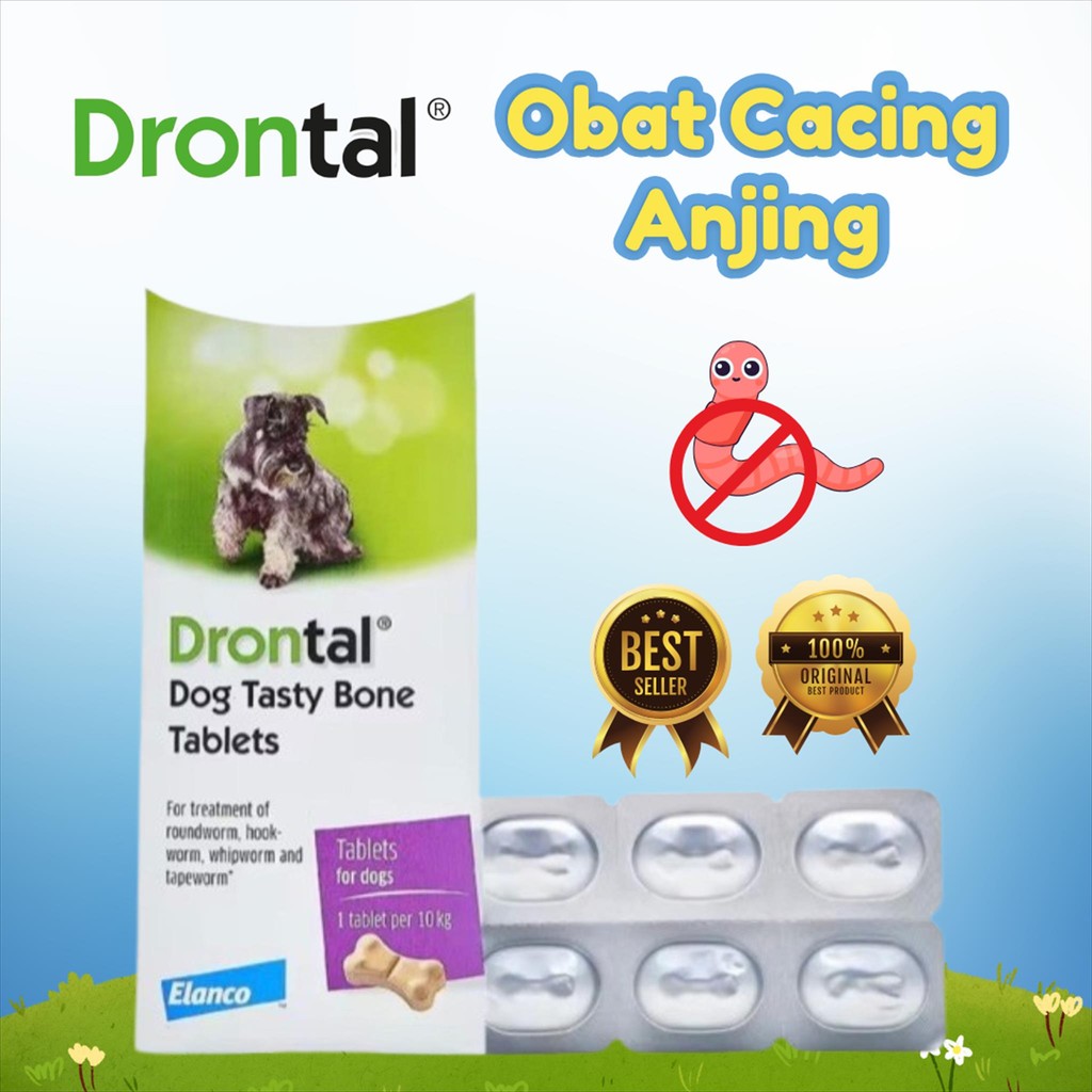 DRONTAL DOG / OBAT CACING DRONTAL / DRONTAL OBAT CACING / DRONTAL OBAT CACING