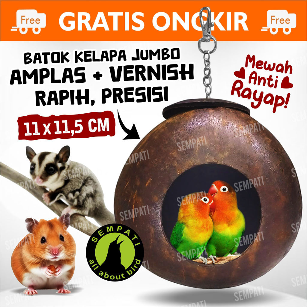 SEMPATI GLODOK BATOK RUMAH SARANG BERTELUR BURUNG LOVEBIRD KENARI CIBLEK PLECI CUCAK DLL