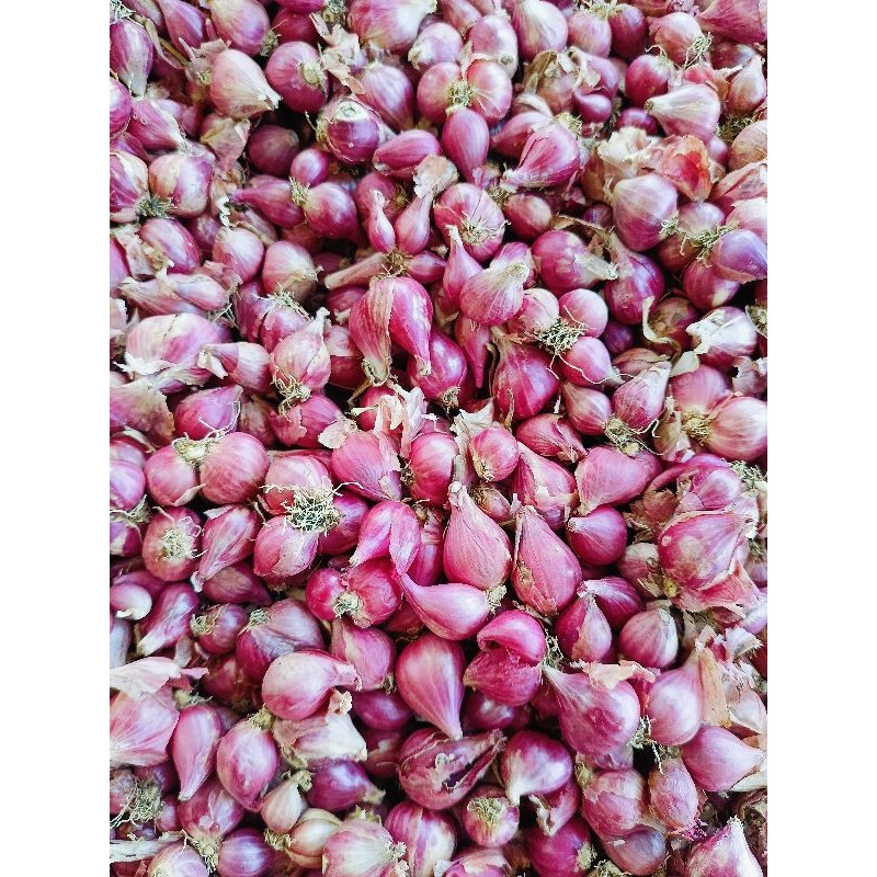

bawang merah murah 1kg berkualitas|bawang merah/bumbu masak