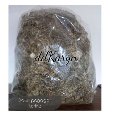 

reerengswetmall 100gr Daun Pegagan kering /antanan kering/kaki kuda paling laris segera di order keburu kehabisan