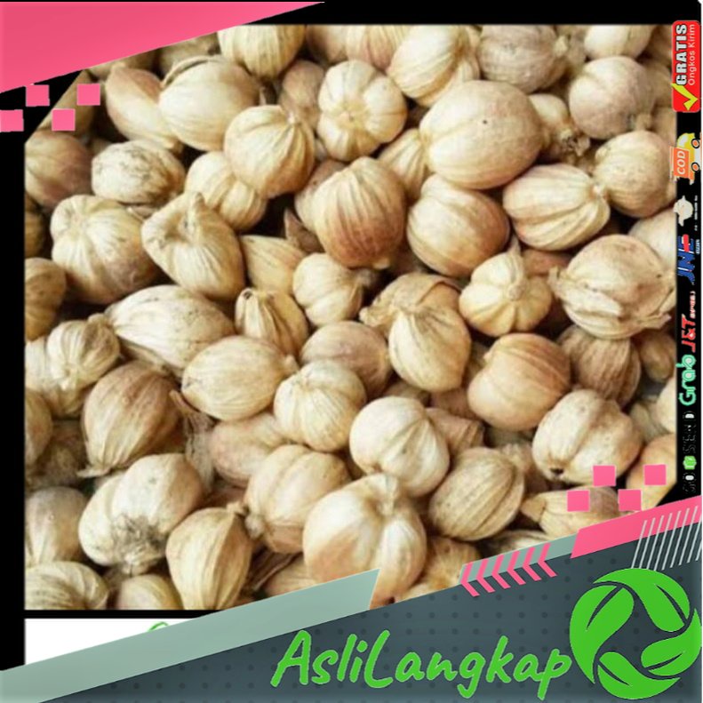 

Kapulaga - Kapulaga Kering bersih Organik 500g