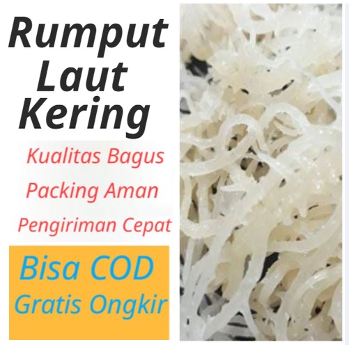 

Rumput Laut Kering Isi 100 Gram Kualitas Premium / Rempah