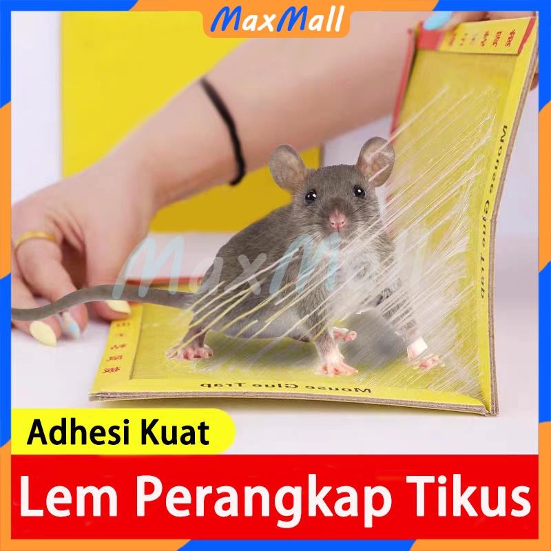Spesialis Tikus Lem Tikus Super Lengket Perangkap Tikus Super Lengket Lem Tikus Kuat Lem Hama