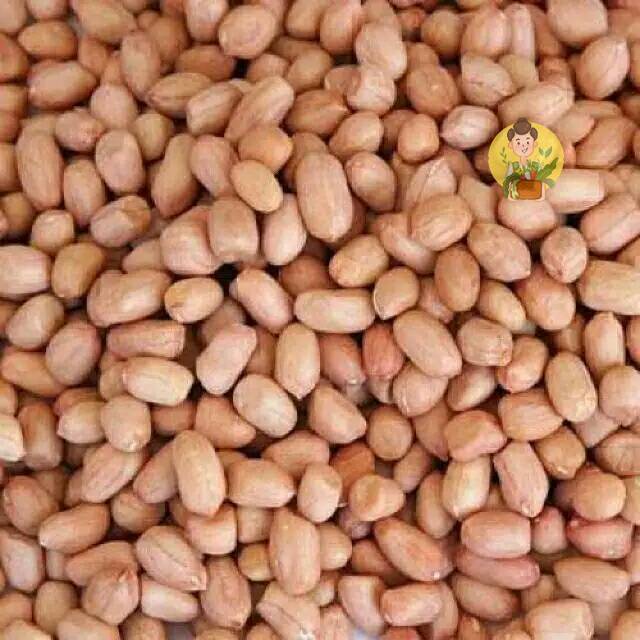 

Kacang Tanah 250gram