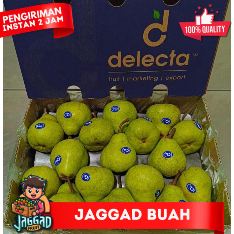 

Pear Packham Africa 1 Dus (12,5 KG) Fresh Import JAGGAD FRUIT