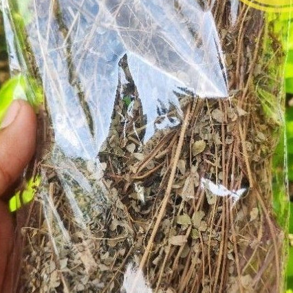 

Promo Meniran Kering - Batang Daun Akar Meniran Kering 75 gram COD