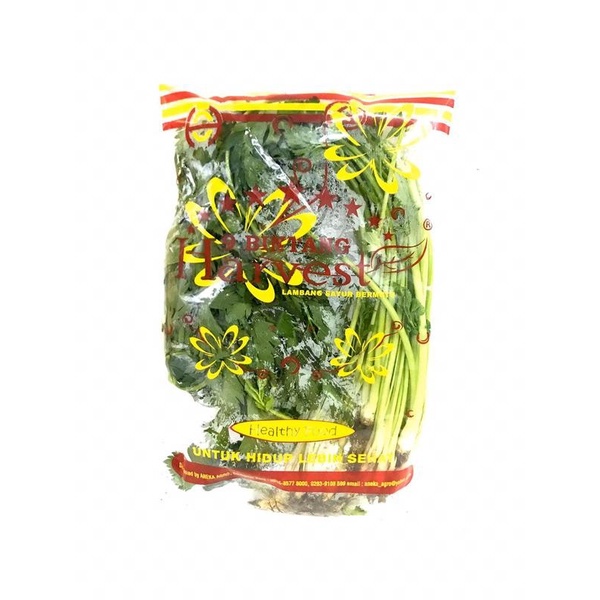 

Harvest Seledri [ 200gr/ 1 Pack ]