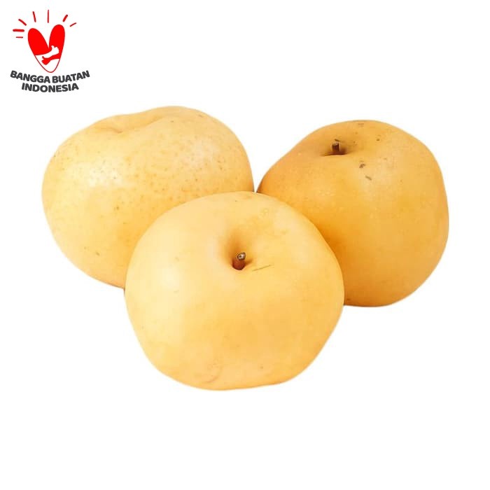 

Rezeki Fresh Market Pear Singkau RRT [0.9-1.1 kg/1-2 pcs]