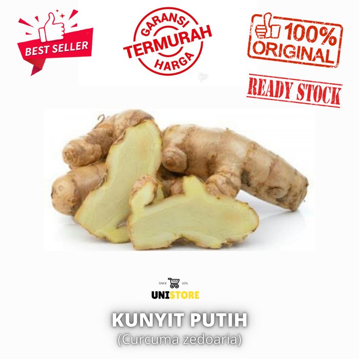 

kunyit putih - 1/2kg