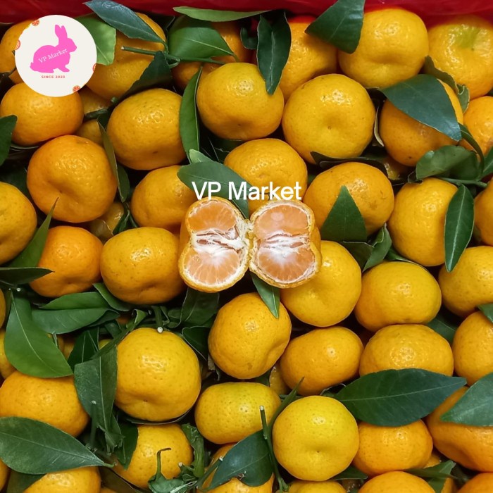 

Jeruk Shantang RRC Fresh Import | Buah Jeruk Shantang Manis 6kg