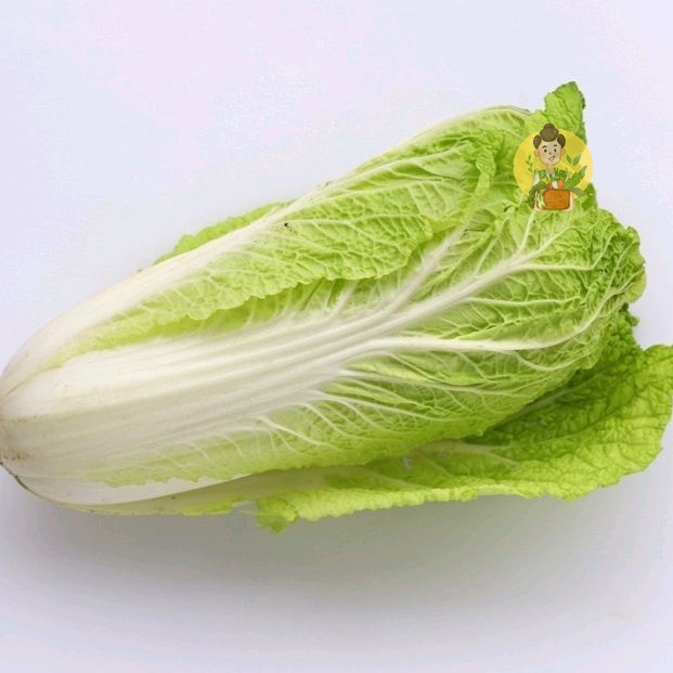 

Sawi Putih - Berat 500gram - Sayur Segar Instan Malang