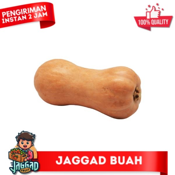 

PUMPKIN BUTTERNUT 1300-1400 GR JAGGA FRUIT