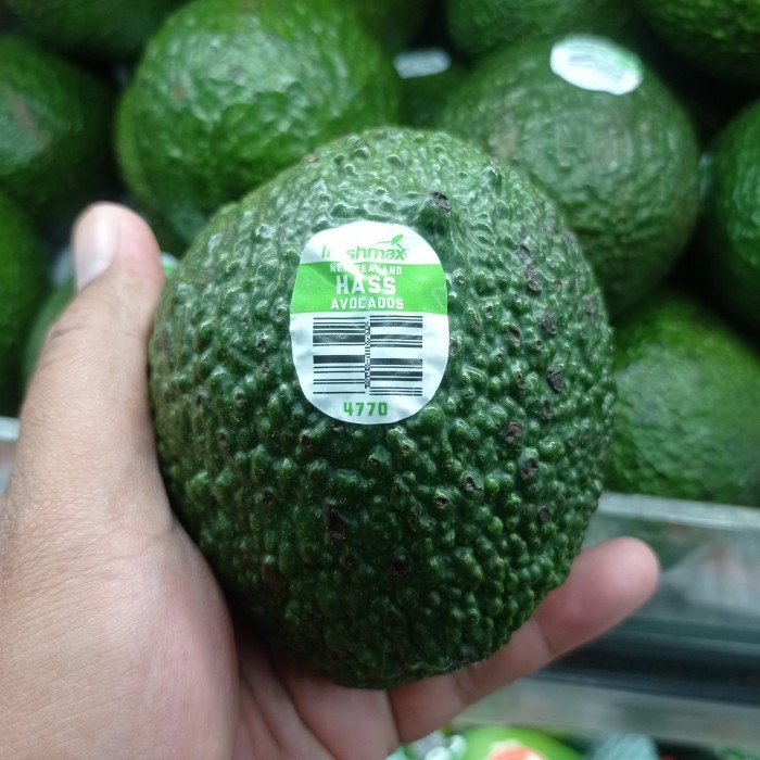 

Alpukat Hass new Zealand fresh 1 kg