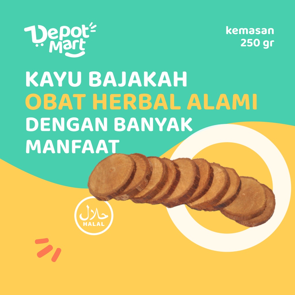 

Kayu Bajakah Obat Herbal Alami 250 Gr Khas Kalimantan