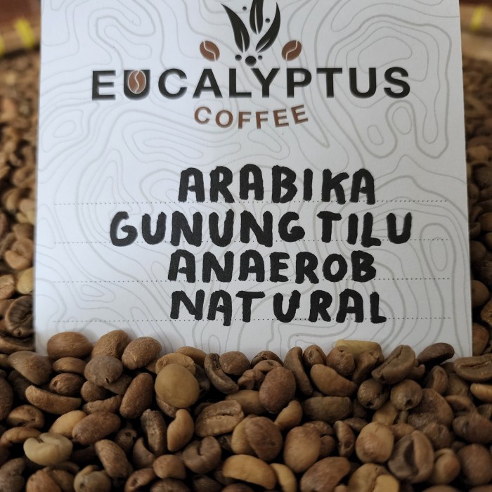 

✨PROMO✨ -Arabika Gunung Tilu Fermentasi Anaerob -Natural- Green Bean/Biji kopi