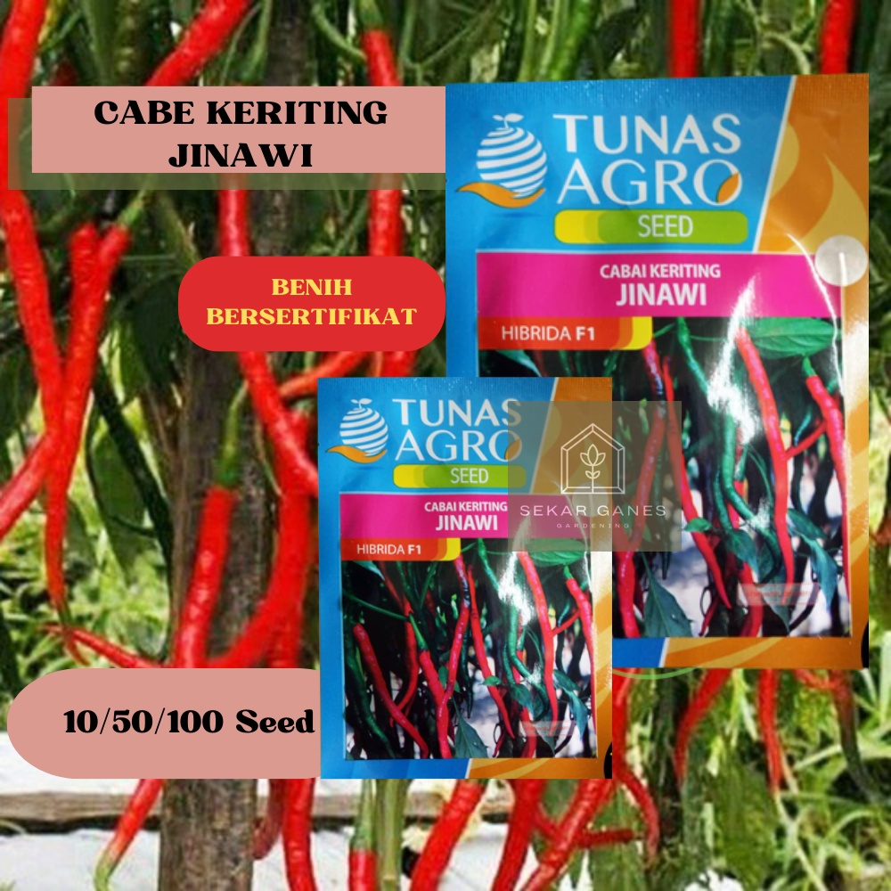 NEW Biji Benih Cabai Keriting Jinawi F1 Ori - Repack 10 50 Bibit Cabe Kriting Lombok Besar