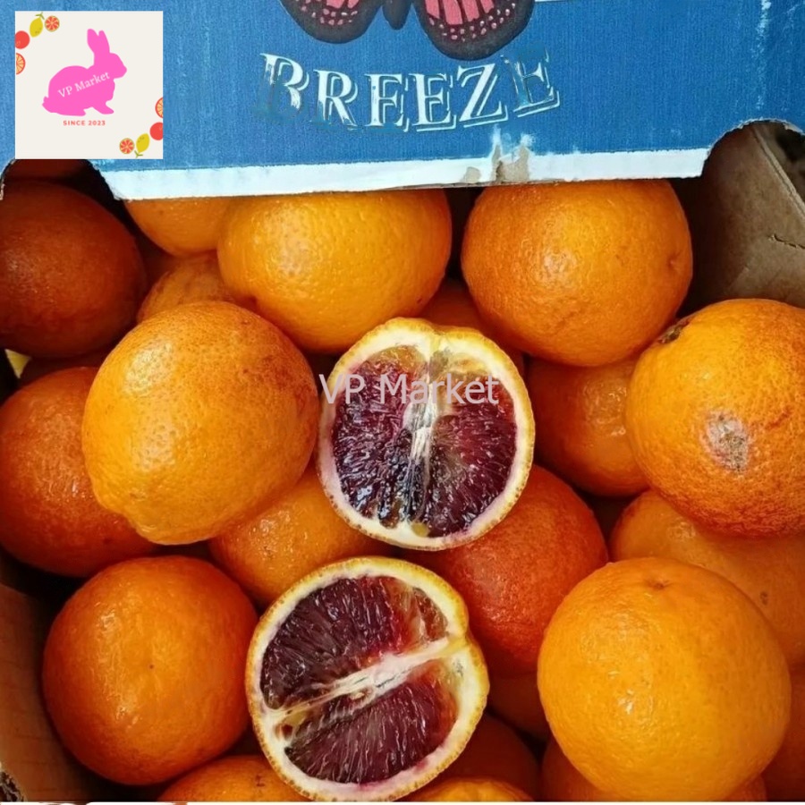 

Jeruk Blood Orange Import | Jeruk Navel Blood Orange 1 kg