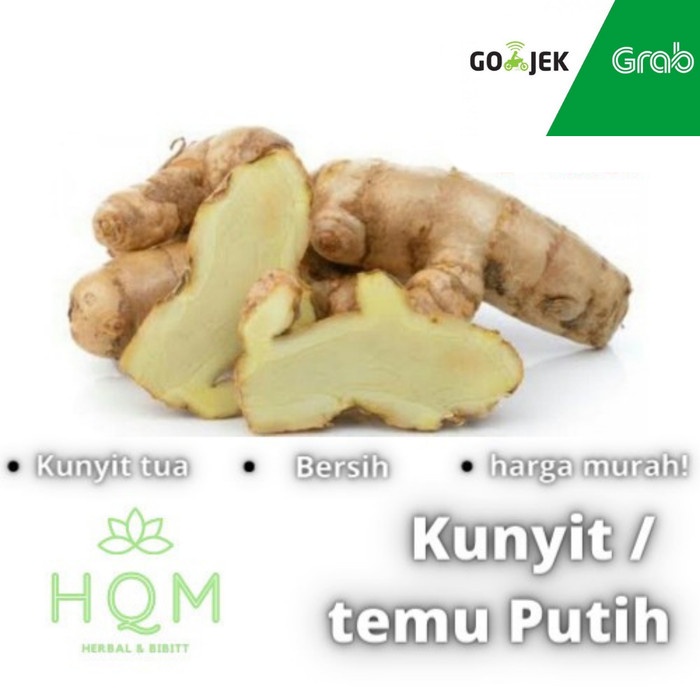 

Temu putih segar 1kg / kunyit kunir putih curcuma zedoaria murah - 1/2 kg