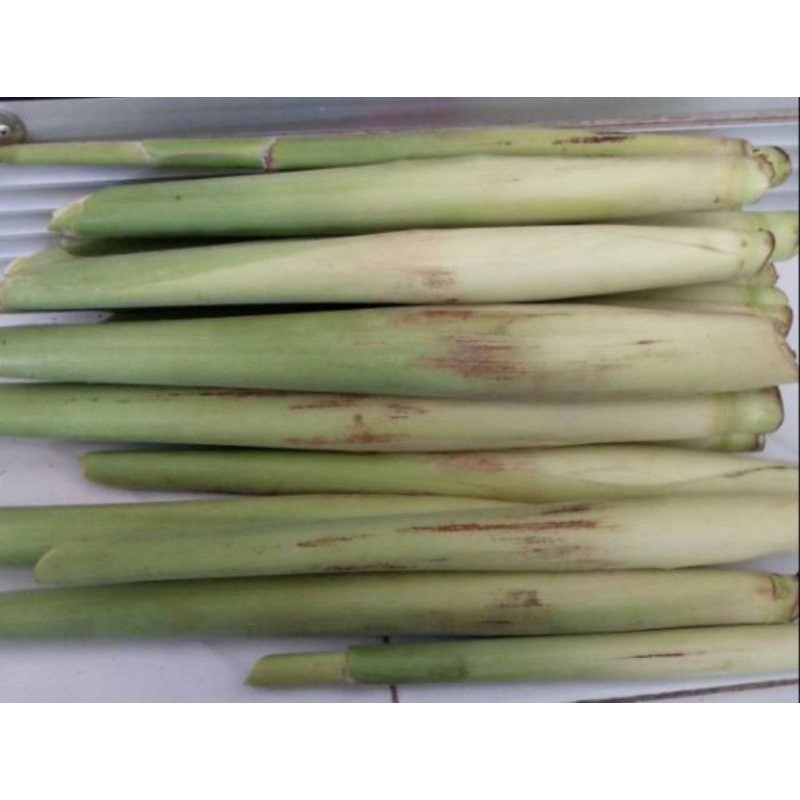 

New COD Turubuk sayur segar- terubuk telor 500gram