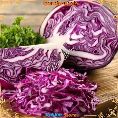 

Sayur Segar Kol Ungu Kubis Merah Red Purple Cabbage