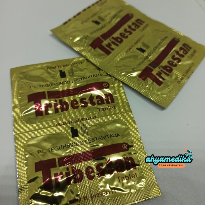 (murah) TRIBESTAN PERSTRIP original