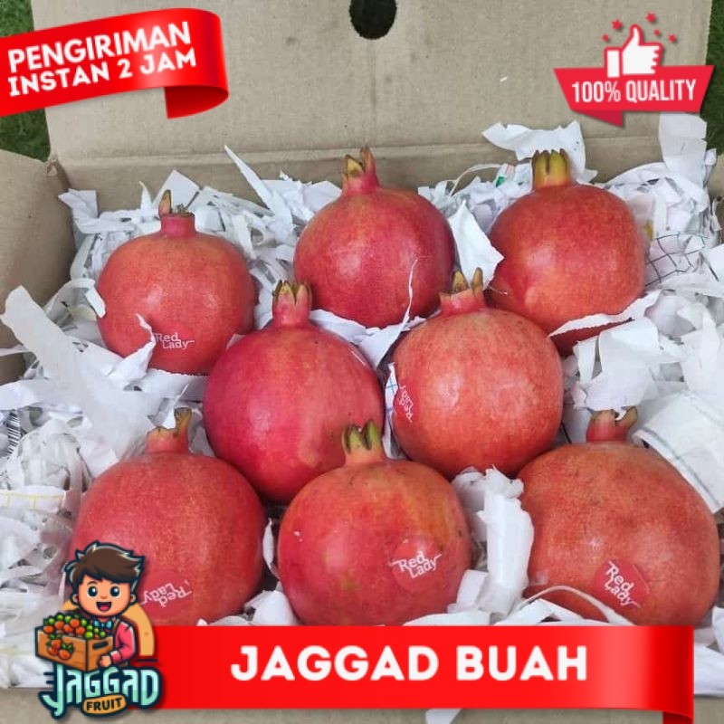 

Buah Delima Merah 1 Dus/Krat India Mesir Rrc JAGGAD FRUIT