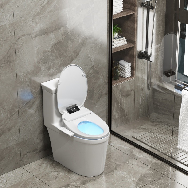 Panel Movable Bidet Toilet Seat Cover Nozzle Movable Washing Heated Seat Wc Intelligent Toilet Lid W