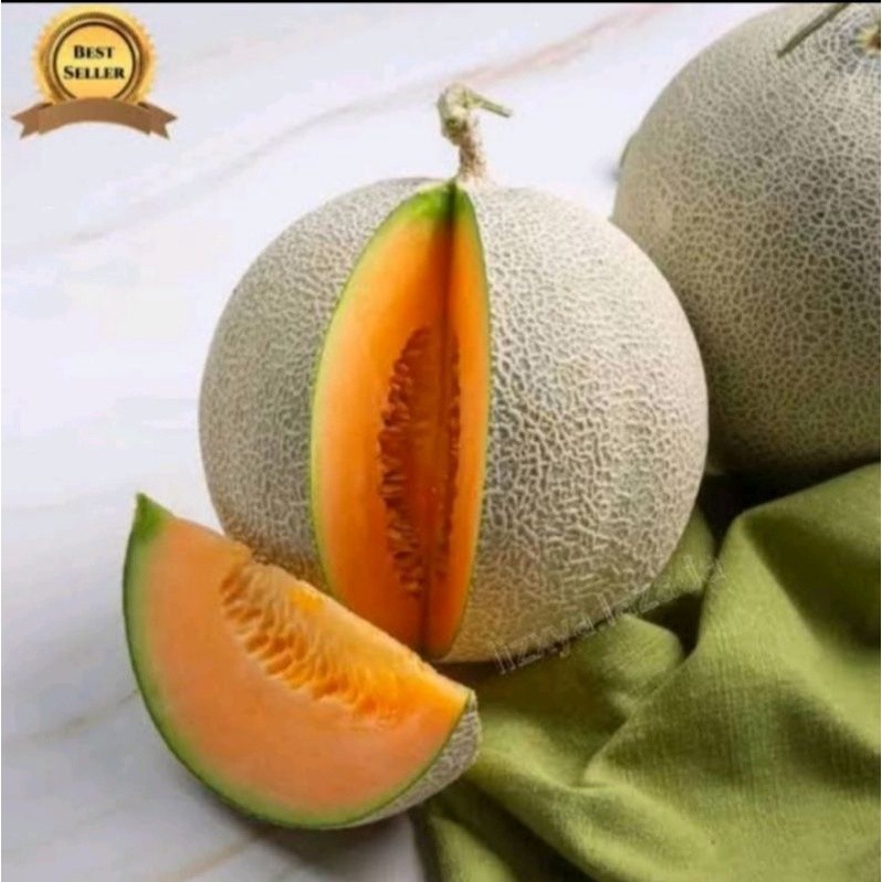 50++ BIBIT BENIH MELON MANIS MADU JAWI