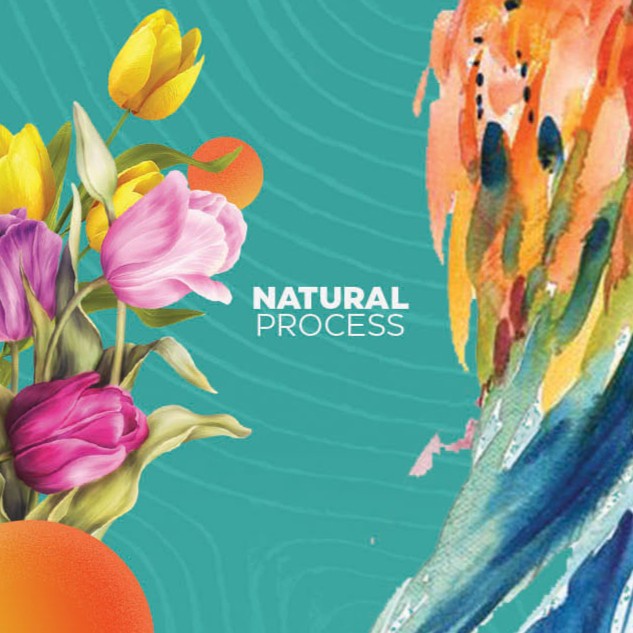 

✨PROMO✨ -Kopi Arabica Ethiopia Guji Natural 200 500 1kg - Bubuk Kasar, 200gr