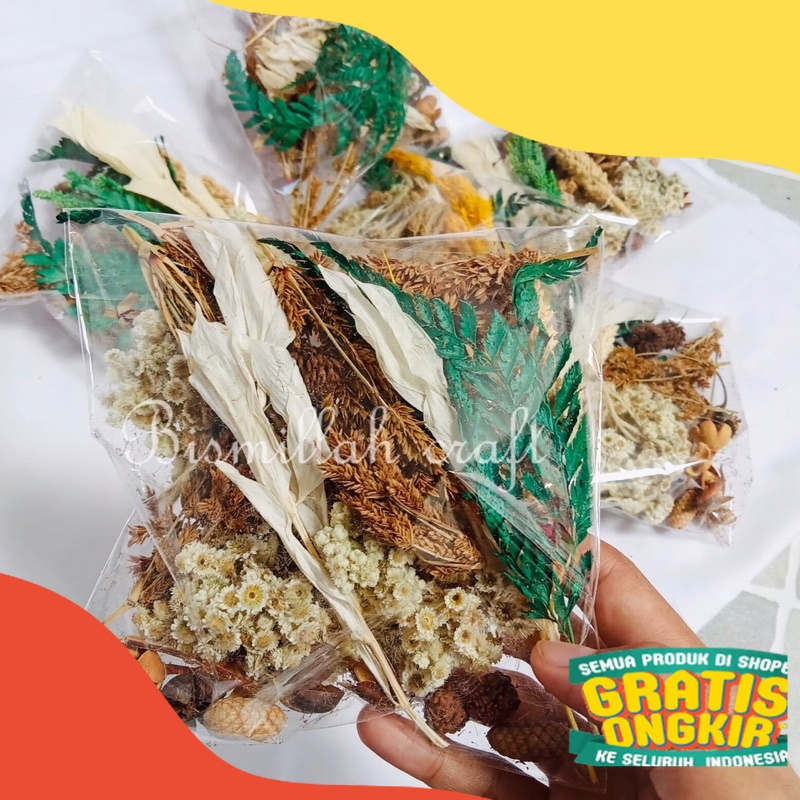 TERMURAH  Paket Hemat Bunga Kering DAUN PAKIS HIJAU Hiasan Kerajinan Dekorasi Rustic craft Rustic Ba