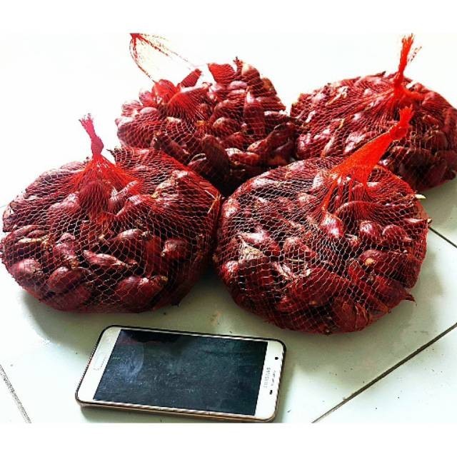 

Bisa COD [COD]Bawang Dayak 1kg Tiwai Kalimantan Segar Asli Hutan Agen Jual Paling Murah Siap Konsumsi