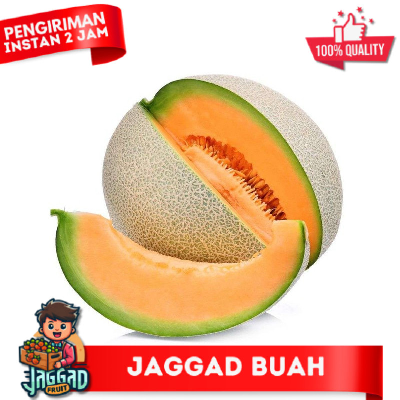 

Melon Red Sweet Melon Oranye 2-2.5 kg - Manis, Lembut, dan Kaya Nutrisi Jaggad Fruit