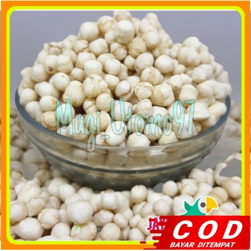 

pilus sukro cikur 1kg topping baso aci seblak sukro cikur