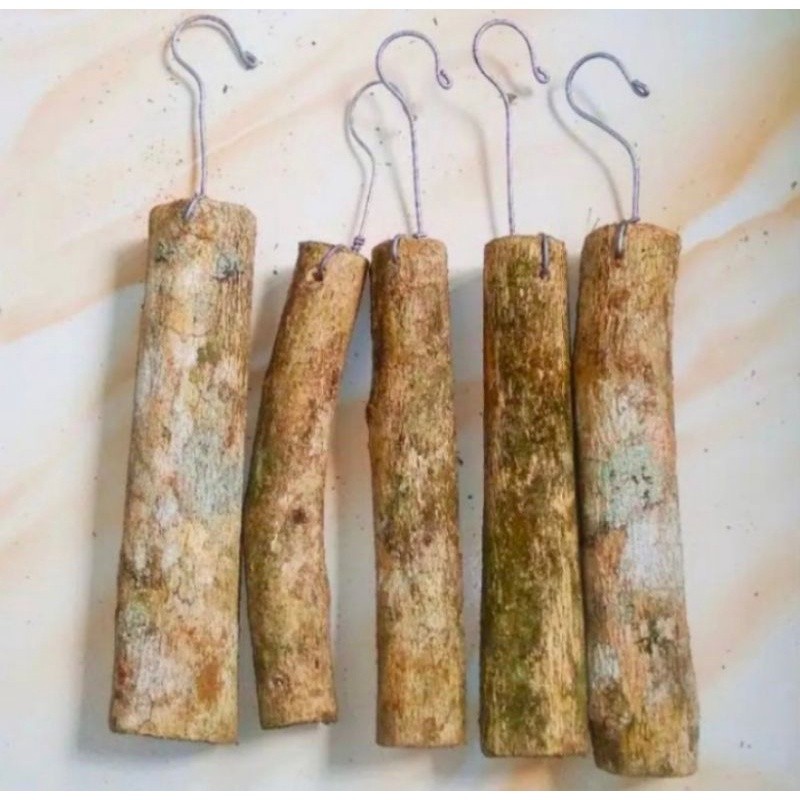 media tanam kayu kopi, kayu kopi untuk media tanam anggrek