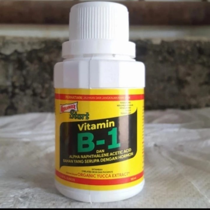 vitamin b1 untuk tanaman start
