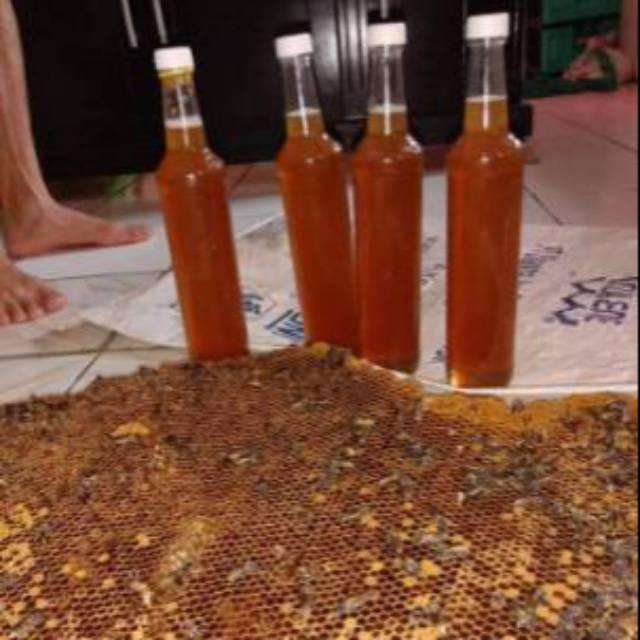 

Madu Murni 100% MAdu Odeng Baduy