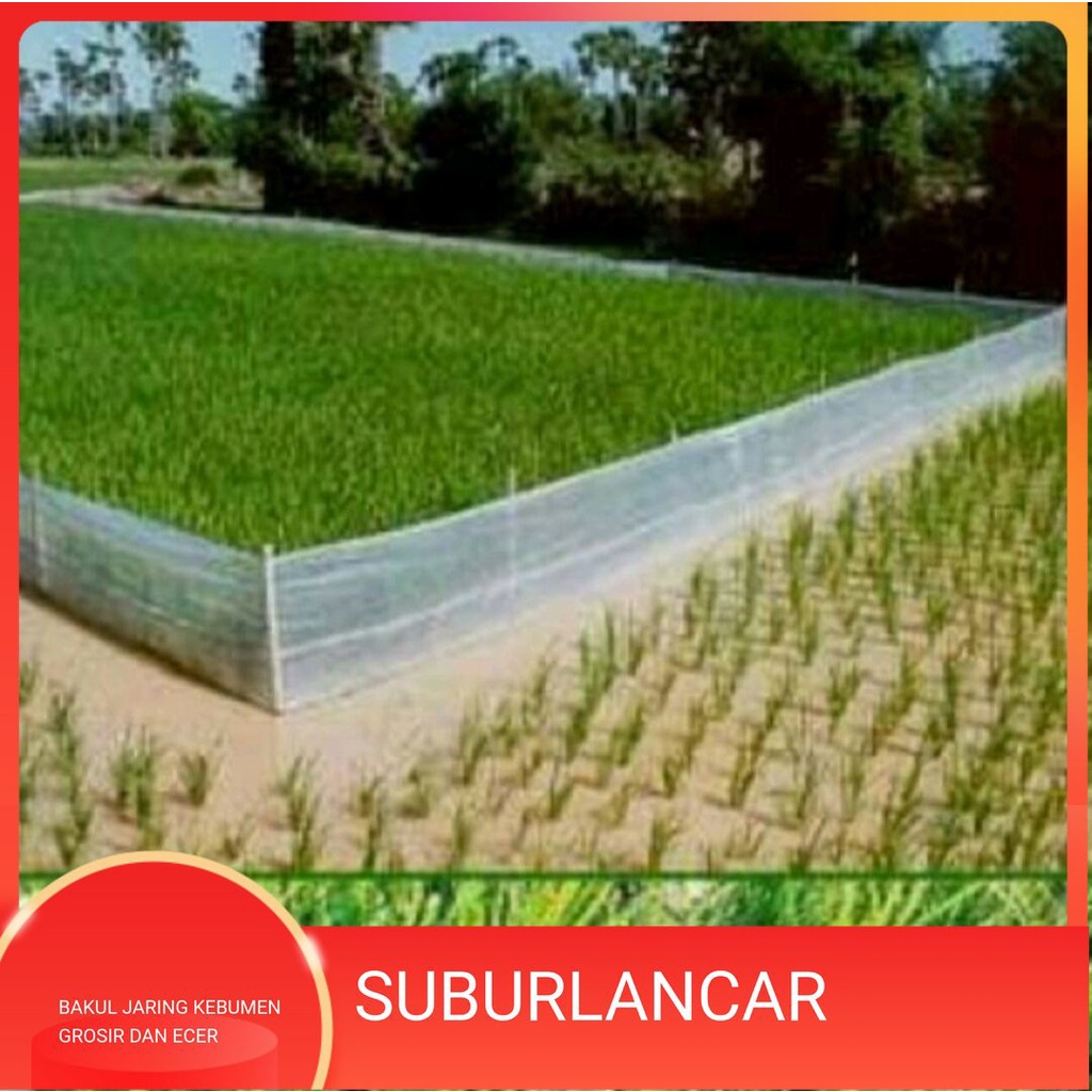 PLASTIK PAGAR SAWAH 50M PLASTIK PAGAR KEBUN PENGHALANG HAMA SAWAH KEBUN