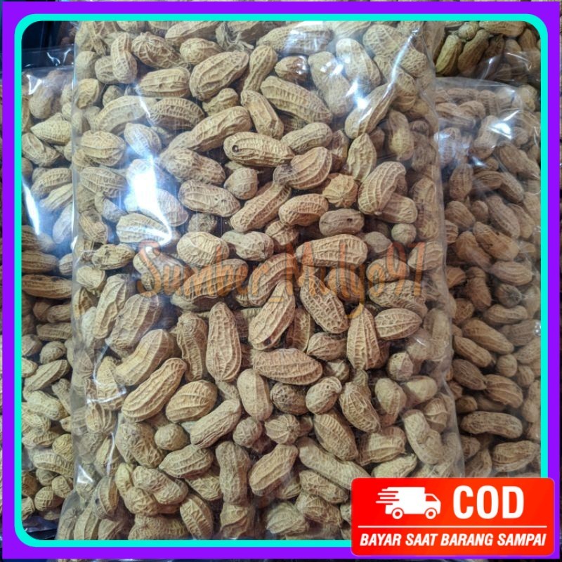 

kacang kulit sangrai 1kg kacang kulit bakar