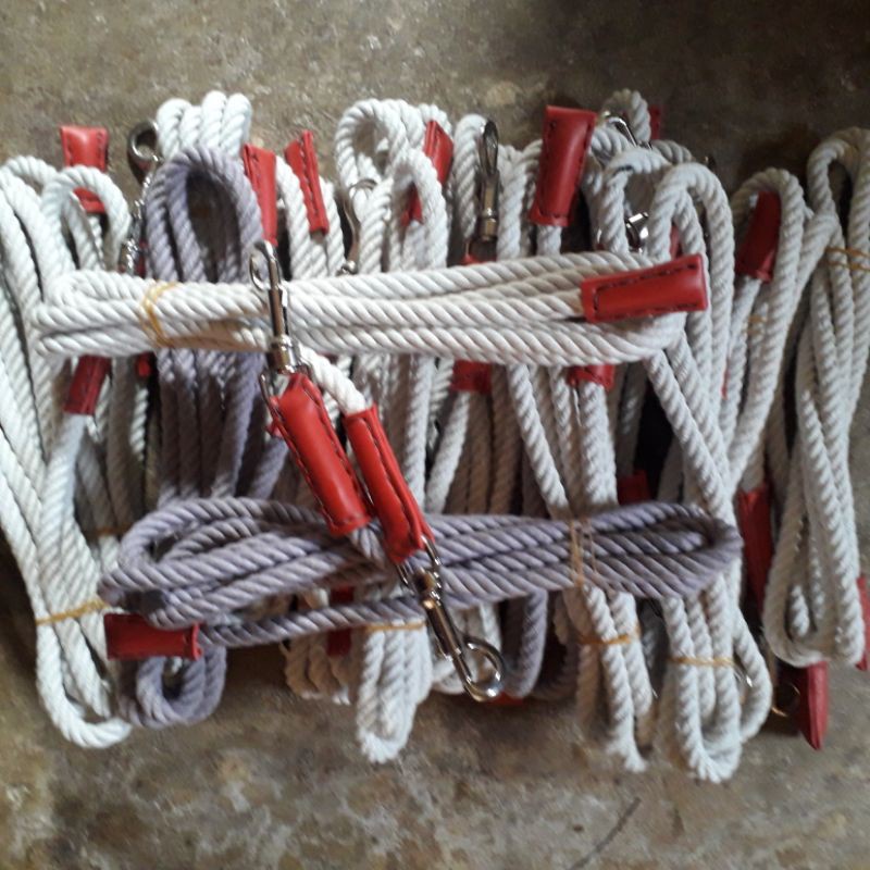 Tali Tuntun Anjing Tali Anjing Tali Harian Anjing Tali Anjing