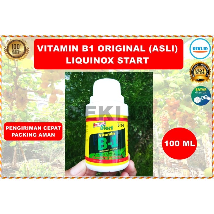 Vitamin B1 Original Asli Liquinox Start 100 ml ZPT Pupuk Anti Stres