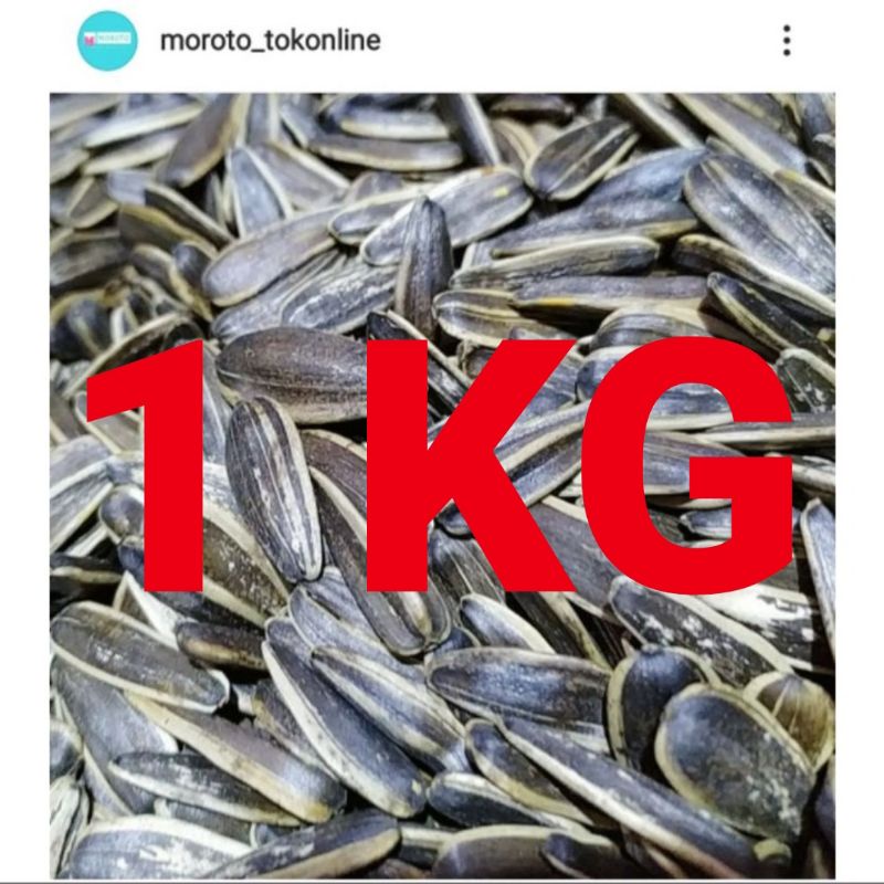 

KUACI KWACI 1 KG SNACK KERING CAMILAN CEMILAN MAKANAN KERING MURAH KILOAN DIJAMIN FRESH HALAL BARANG BARU RASA ENAK GURIH MANIS ASIN RENYAH MOROTUKU SNACK