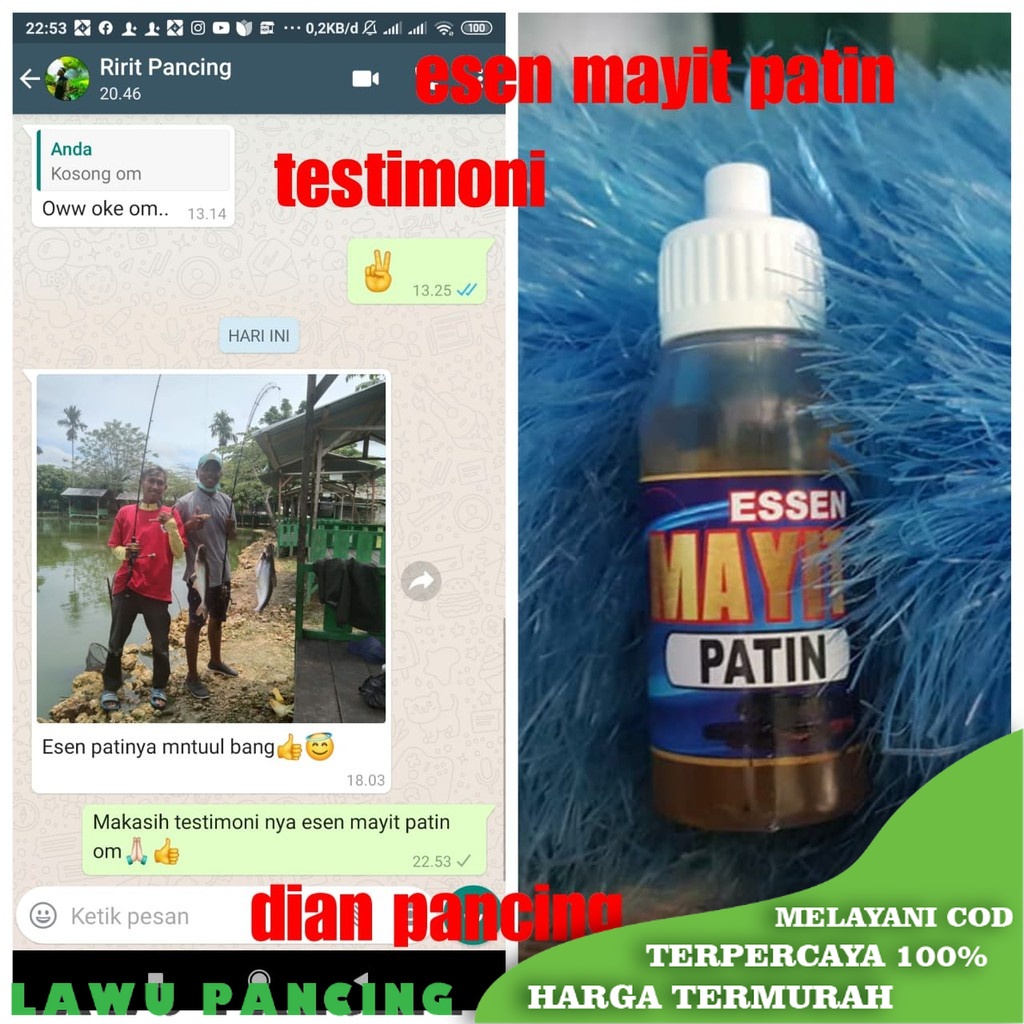 Esen Mayit khusus Patin