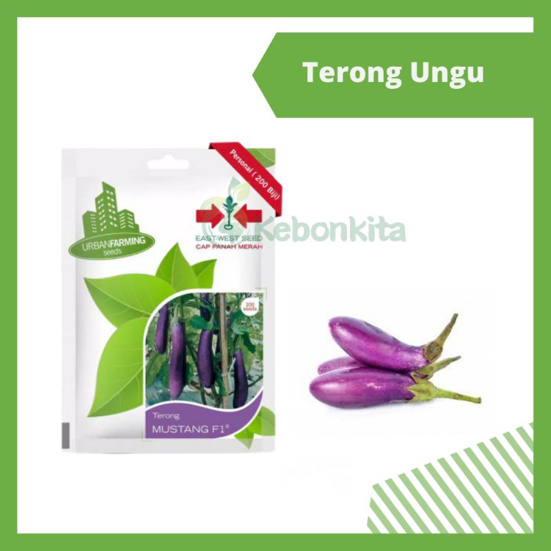 Benih  Terong Ungu Mustang 200 Seeds - Cap Panah Merah