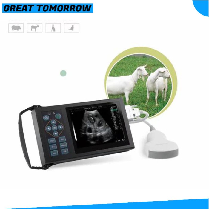 GT Mesin USG Ultrasound Pemeriksa Kehamilan Hewan Ternak Kambing Domba