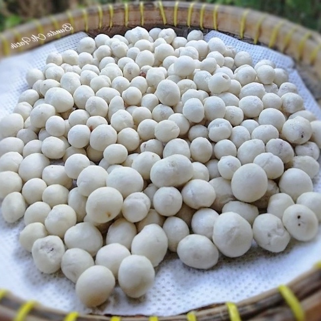 

Kacang Sukro Wayang 250g Sukro Kiloan ASG