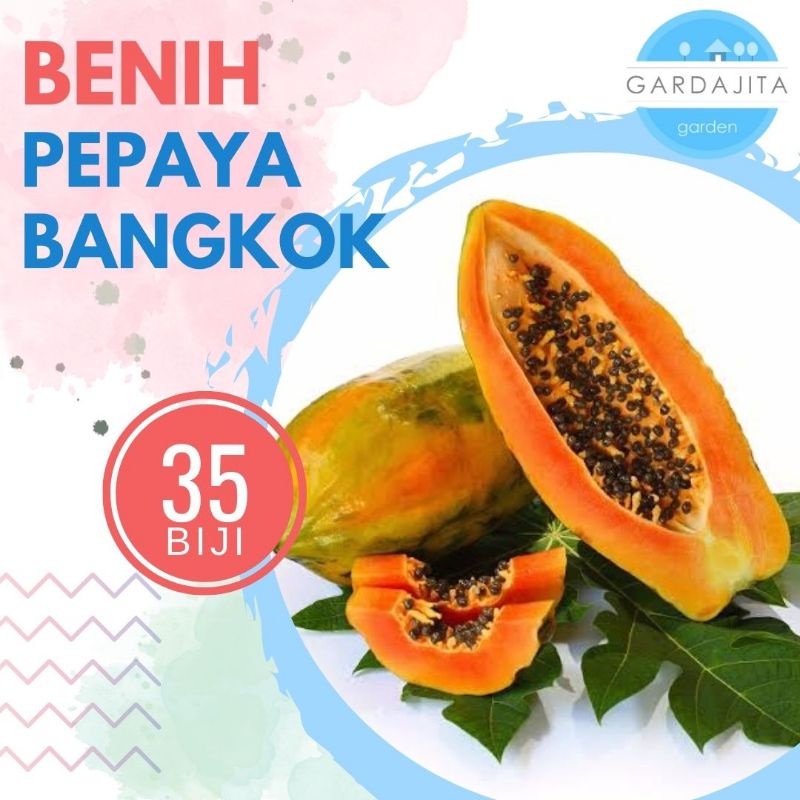 PEPAYA BANGKOK [isi-35] - Benih Biji Buah