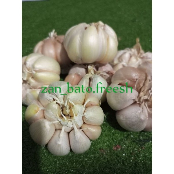 

Bawang Putih Termurah 800grm